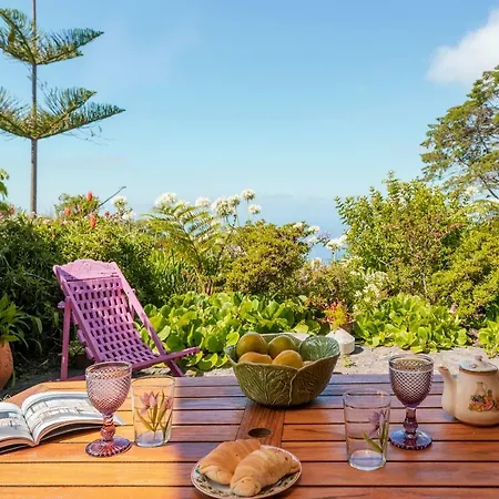 Quinta Devonia By An Island * Funchal