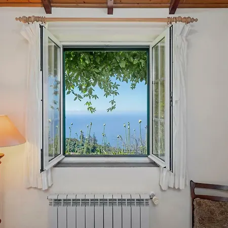 Quinta Devonia Farm stay Funchal (Madeira)
