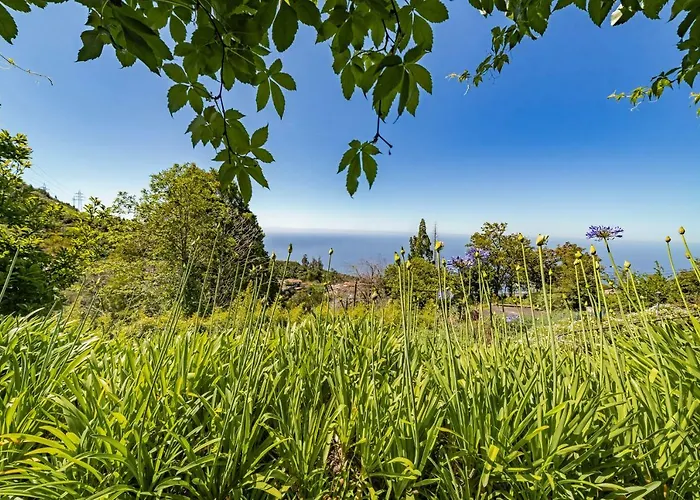 Agroturismo Quinta Devónia By An Island